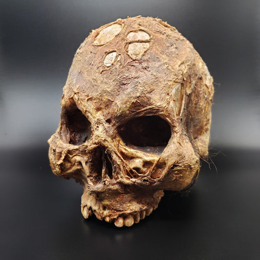 The Mummy’s Skull