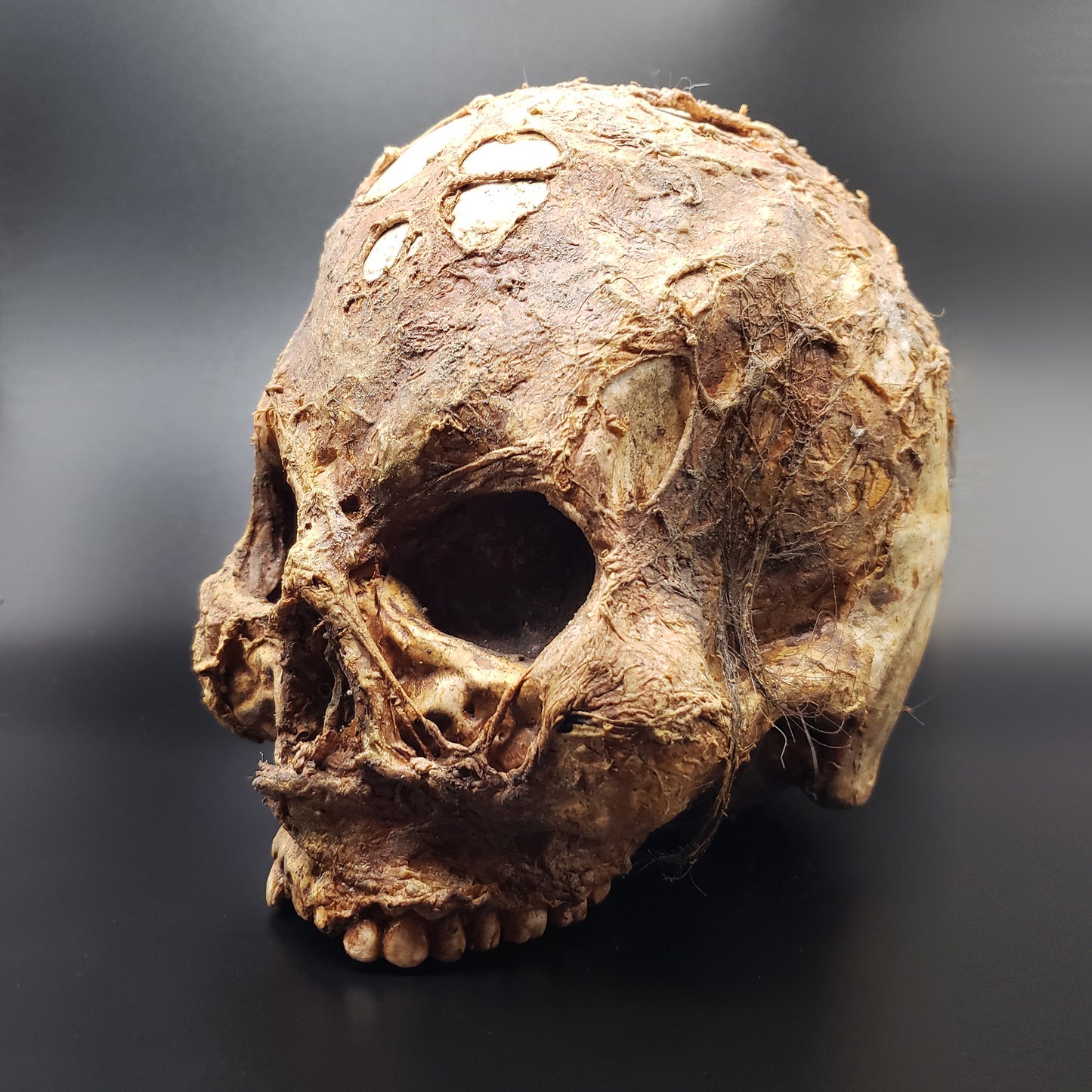The Mummy’s Skull