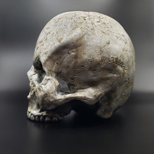 Argentum Skull