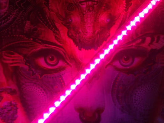 LED Staff with Power Bank Feature