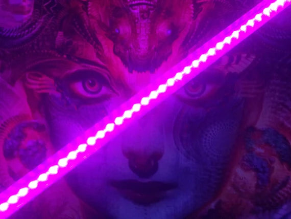 LED Staff with Power Bank Feature